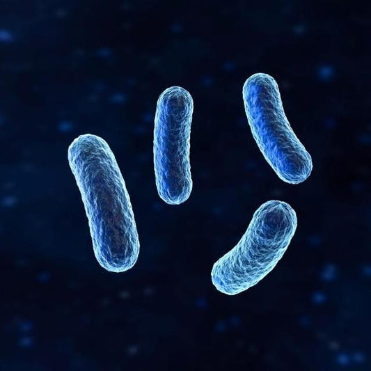 Does bacteria grow in water bottles? - ShakeSphere